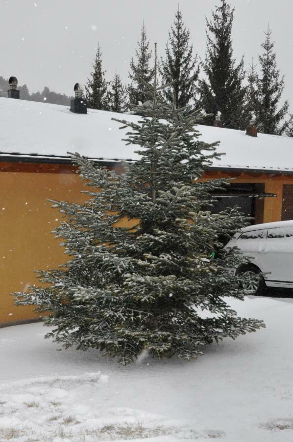 Vila Casa En La Molina La Molina  Exteriér fotografie